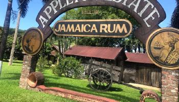 Appleton rum factory.